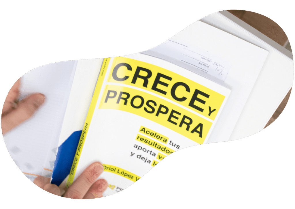 347 asesores murcia